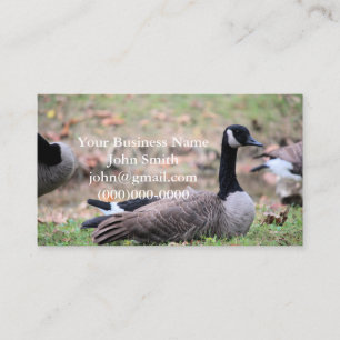 Goose Business Card