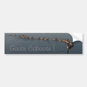 GOOSE CABOOSE by SHARON SHARPE Bumper Sticker