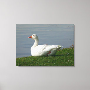 Goose Canvas Print