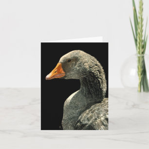Goose Card - "Lucy"