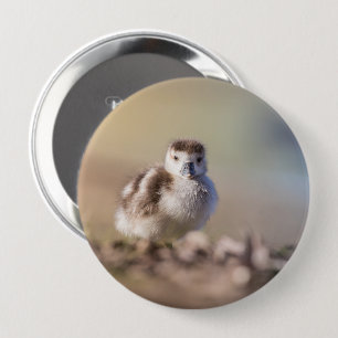 Goose Chick Nature Photo 10 Cm Round Badge