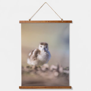 Goose Chick Nature Photo Hanging Tapestry