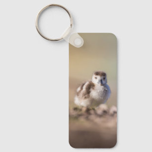 Goose Chick Nature Photo Key Ring