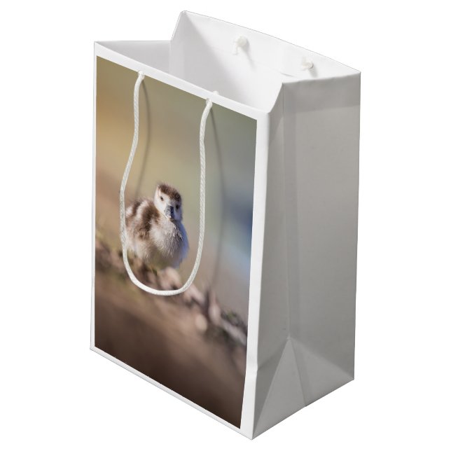 Goose Chick Nature Photo Medium Gift Bag (Back Angled)
