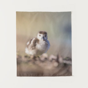 Goose Chick Nature Photo Tapestry
