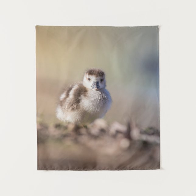 Goose Chick Nature Photo Tapestry (Front)