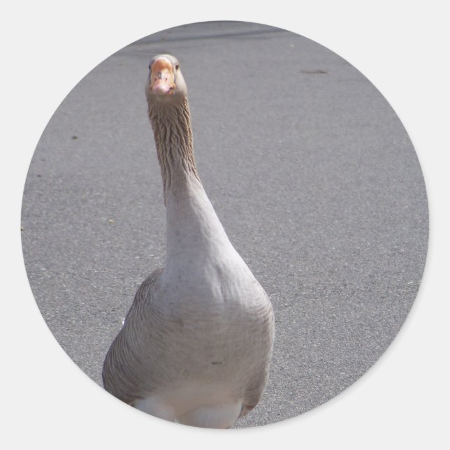 Goose! Classic Round Sticker (Front)
