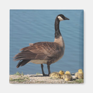 Goose Family Magnet 2