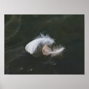 Goose Feathers Floating Poster