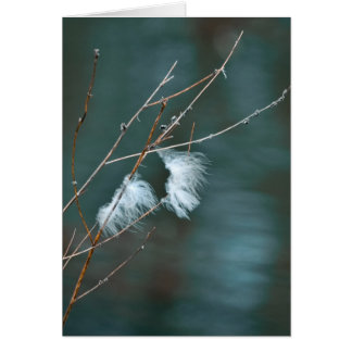 Goose feathers over the blue waters
