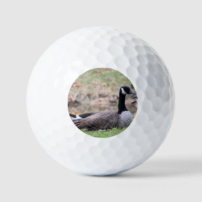 Goose   golf balls (Front)