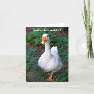 Goose Greeting card