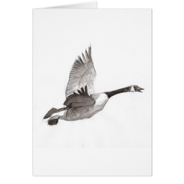 Goose in flight drawing (Front)