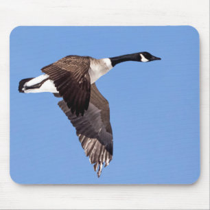 Goose In Flight Mouse Pad