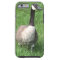 Goose iPhone 6 case