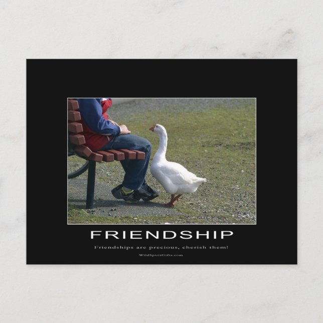 Goose & Little Boy Friendship Postcard (Front)