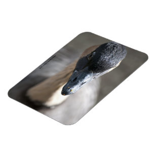 Goose Magnet