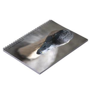 Goose Notebook