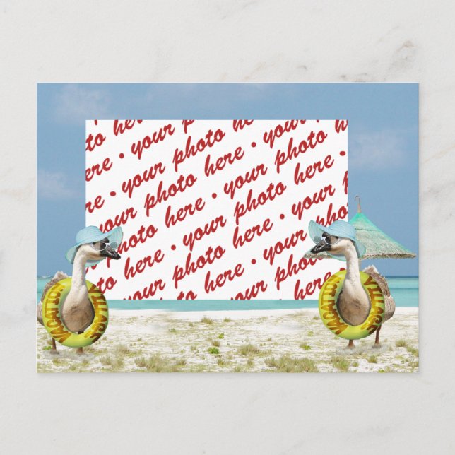 Goose on Vacation Photo Frame Postcard (Front)