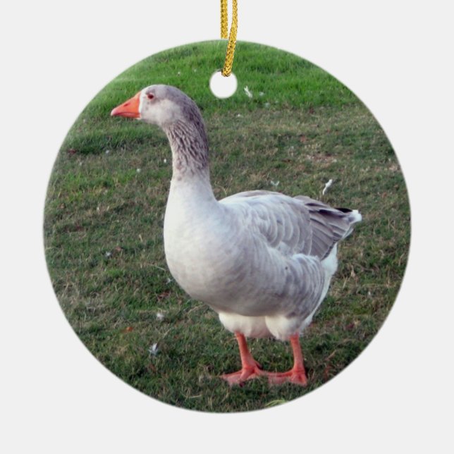 Goose ornament (Front)
