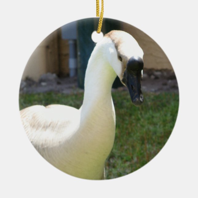 Goose Ornament (Front)