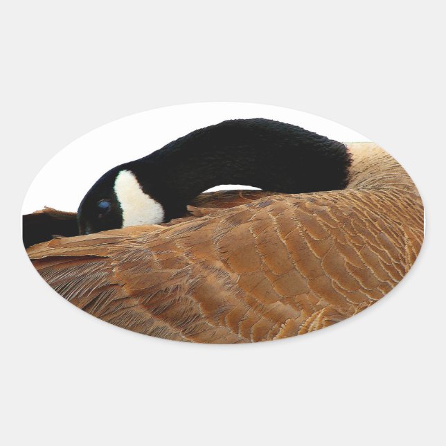 Goose Oval Sticker (Front)