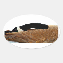 Goose Oval Sticker