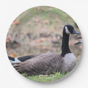 Goose Paper Plate