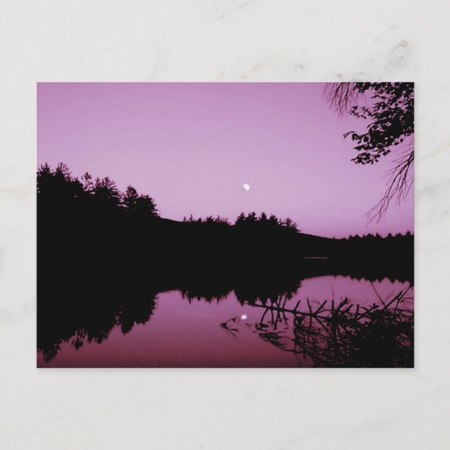 Goose Pond in the evening Postcard (Front)