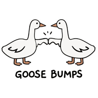 Goose pumps  poster