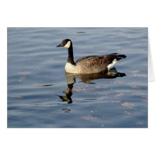 Goose Reflection card