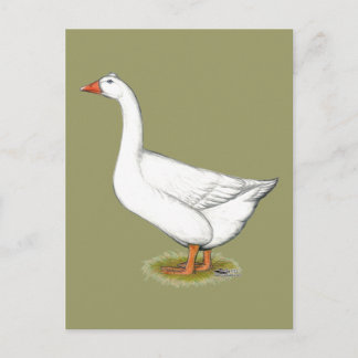 Goose Roman Tufted Postcard