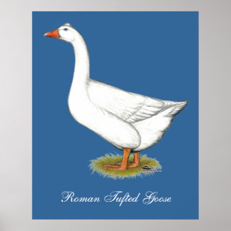 Goose Roman Tufted Poster