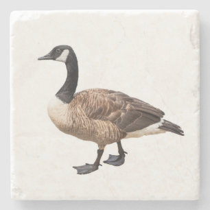 Goose Stone Coaster