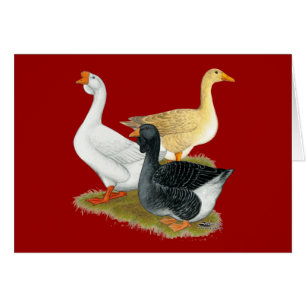 Goose Trio
