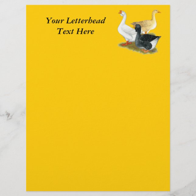 Goose Trio (Front)
