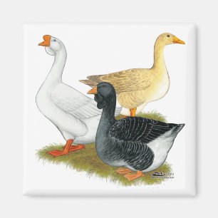 Goose Trio Magnet