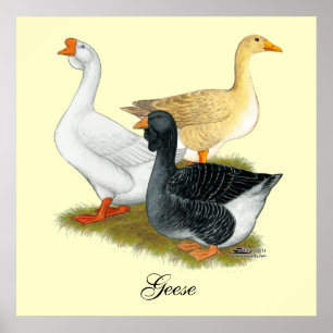 Goose Trio Poster