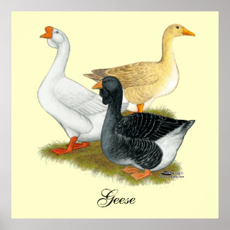 Goose Trio Poster