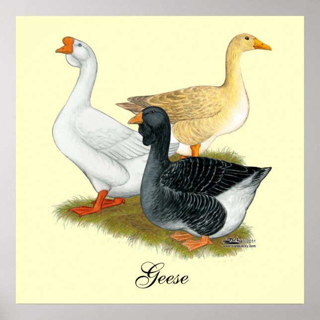 Goose Trio Poster (Front)