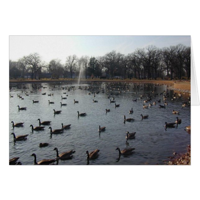 Goose Wall 2 card (Front Horizontal)