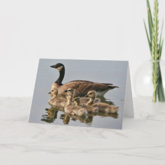 Goose with Chicks Greeting Card