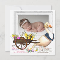 Goose with Eggs Photo Birth Announcement
