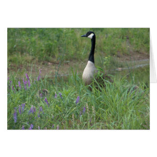 Goose with Hiding Goslings