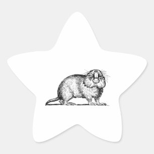 Gopher Star Sticker
