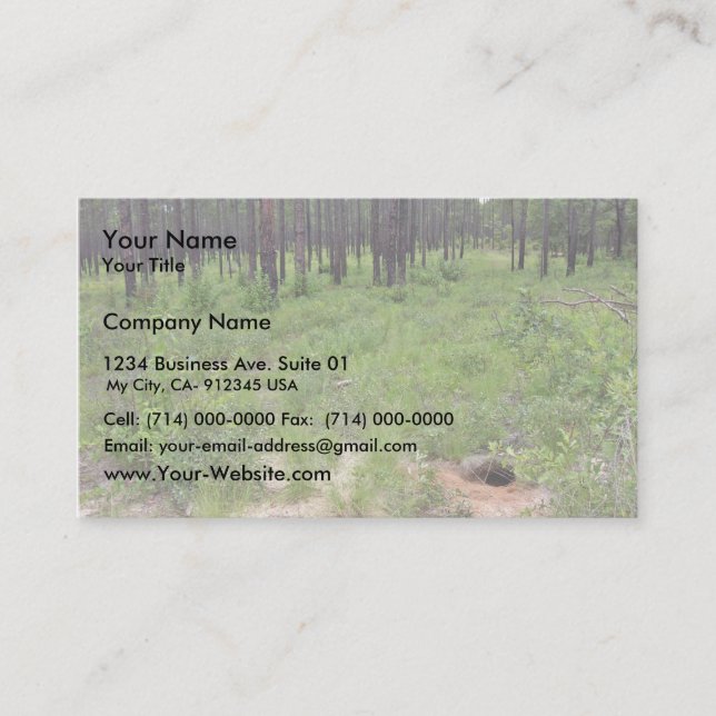 Gopher tortoise burrow and habitat (Gopherus polyp Business Card (Front)