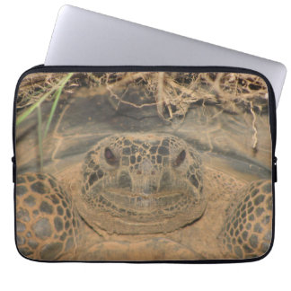 Gopher Tortoise in Natural Habitat Laptop Sleeve