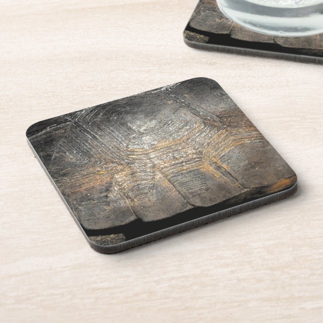 Gopher Tortoise Shell Coaster (Left Side)