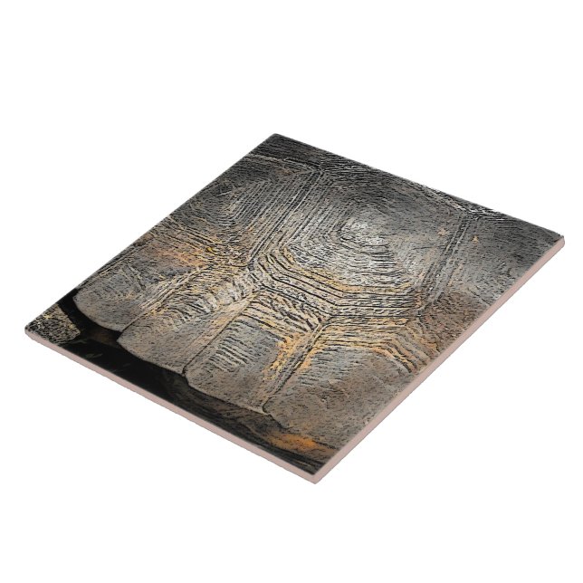 Gopher Tortoise Shell Design Tile (Side)