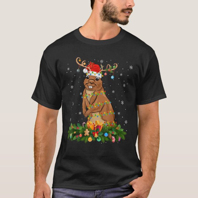 Gopher Xmas Lighting Reindeer Santa Hat Gopher Chr T-Shirt (Front)